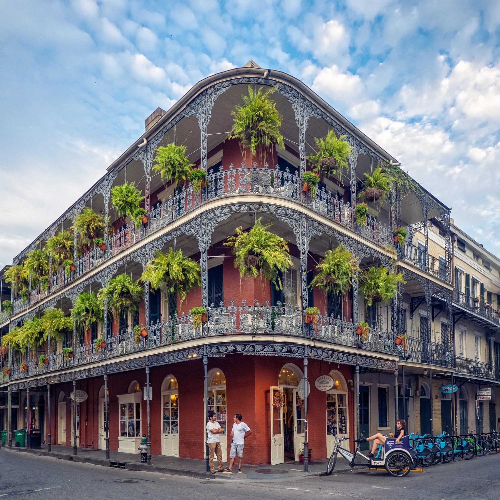 french quarter – rosie kerr french quarter – rosie kerr