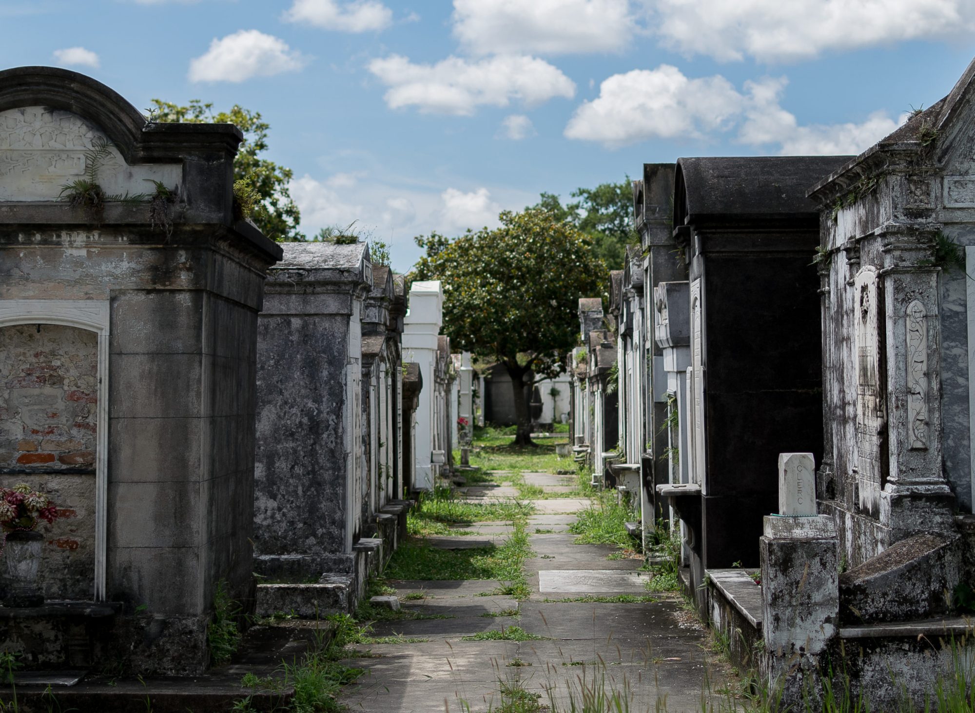 lafayette cemetery