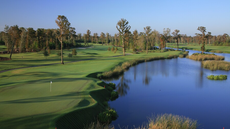 a body of water with grass and trees
